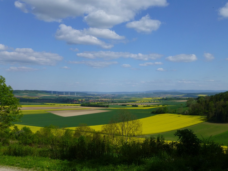 am Rennstieg zwischen Eberholzen und Westfeld