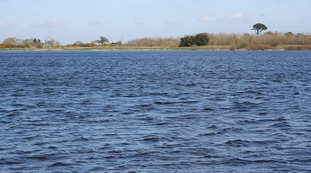 Ảnh "Hồ Stithians" của Tony Atkin (CC BY-SA) / Cắt từ ảnh gốc