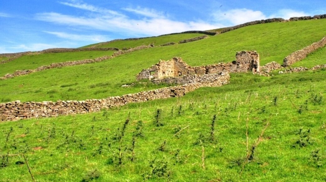 "Reeth"-foto av Mick Garratt (CC BY-SA) / Urklipp från original