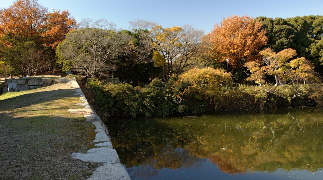 Foto "Castello di Akashi" di 663highland (CC BY) / Ritaglio dell’originale