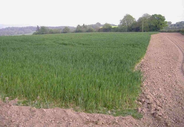 "Hanley"-foto av Roger Cornfoot (CC BY-SA) / Urklipp från original