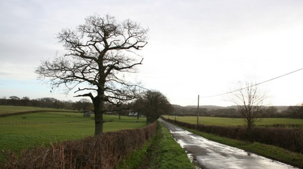 Foto "Dockenfield" por Richard Croft (CC BY-SA) / Recortada de la original