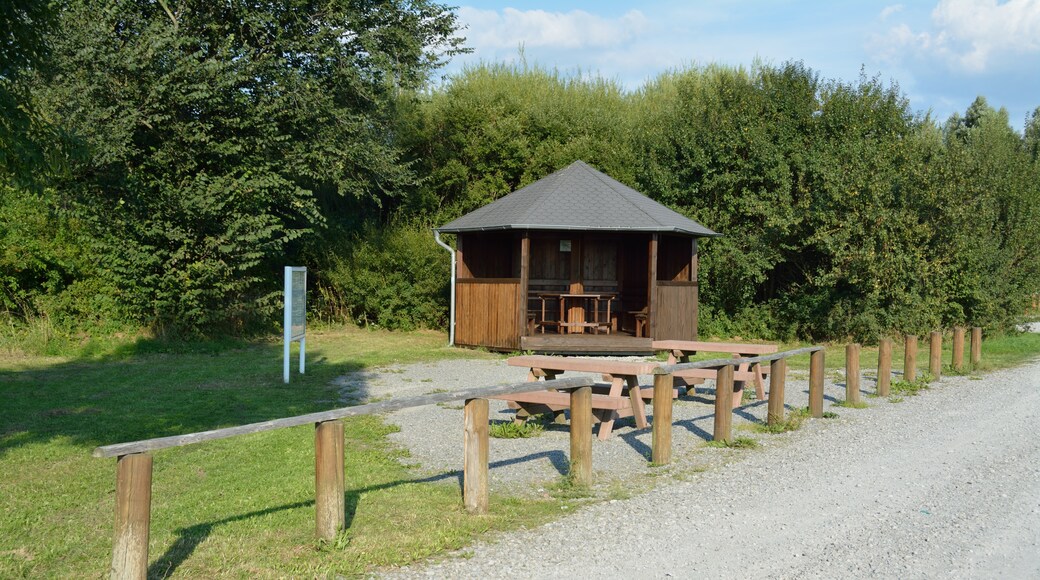 Photo "Stördorf" by Nightflyer (CC BY) / Cropped from original