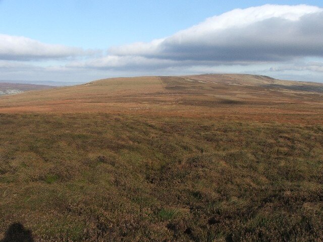 Photo "Carlton Highdale" by Steve Partridge (CC BY-SA) / Cropped from original