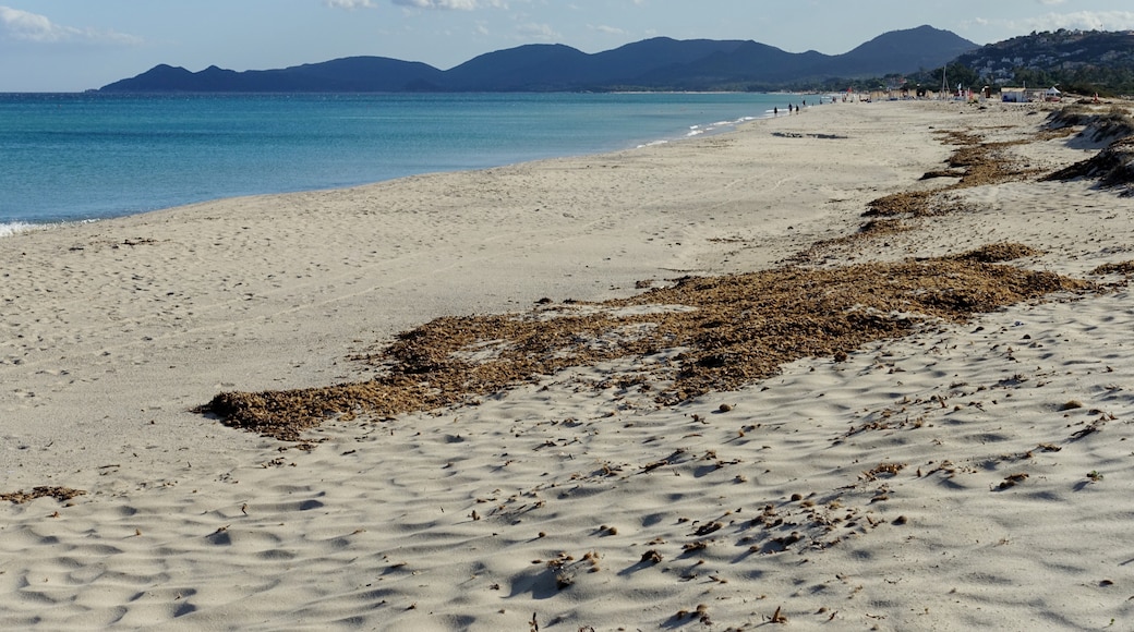 Foto "Playa Piscina Rei" por Oltau (CC BY) / Recortada de la original