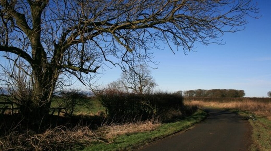 Billede "Deighton" af Mick Garratt (CC BY-SA) / beskåret fra det originale billede