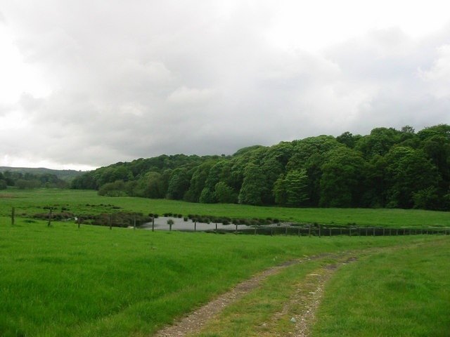 Pond on the path to Riding farm from Urpeth Grange