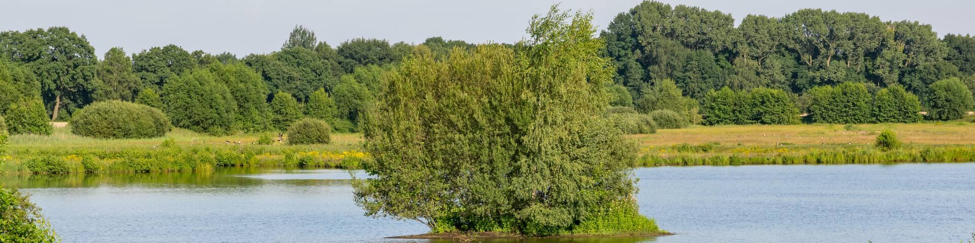Delbrueck, Renânia do Norte-Vestfália, Alemanha