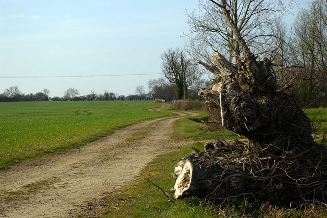 Kuva ”Silver End” käyttäjältä Glyn Baker (CC BY-SA) / rajattu alkuperäisestä kuvasta