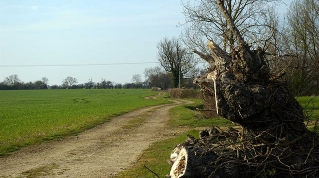 Kuva ”Silver End” käyttäjältä Glyn Baker (CC BY-SA) / rajattu alkuperäisestä kuvasta