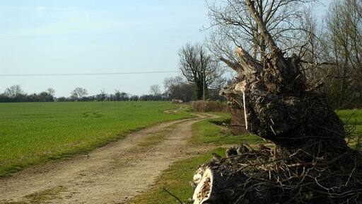 Kuva ”Silver End” käyttäjältä Glyn Baker (CC BY-SA) / rajattu alkuperäisestä kuvasta