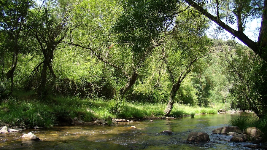Photo "Vista del río Urbión a su paso por Viniegra de Abajo, La Rioja, España." by Lang (page does not exist) (Creative Commons Attribution 3.0) / Cropped from original
