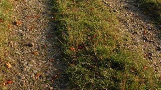 Foto "Broughton Hackett" de Philip Halling (CC BY-SA) / Recortada do original