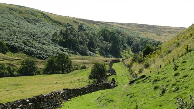 Photo "New Forest" by Gordon Hatton (CC BY-SA) / Cropped from original