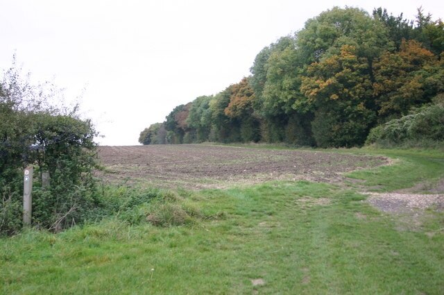 Photo "Anstey" by Shaun Ferguson (CC BY-SA) / Cropped from original