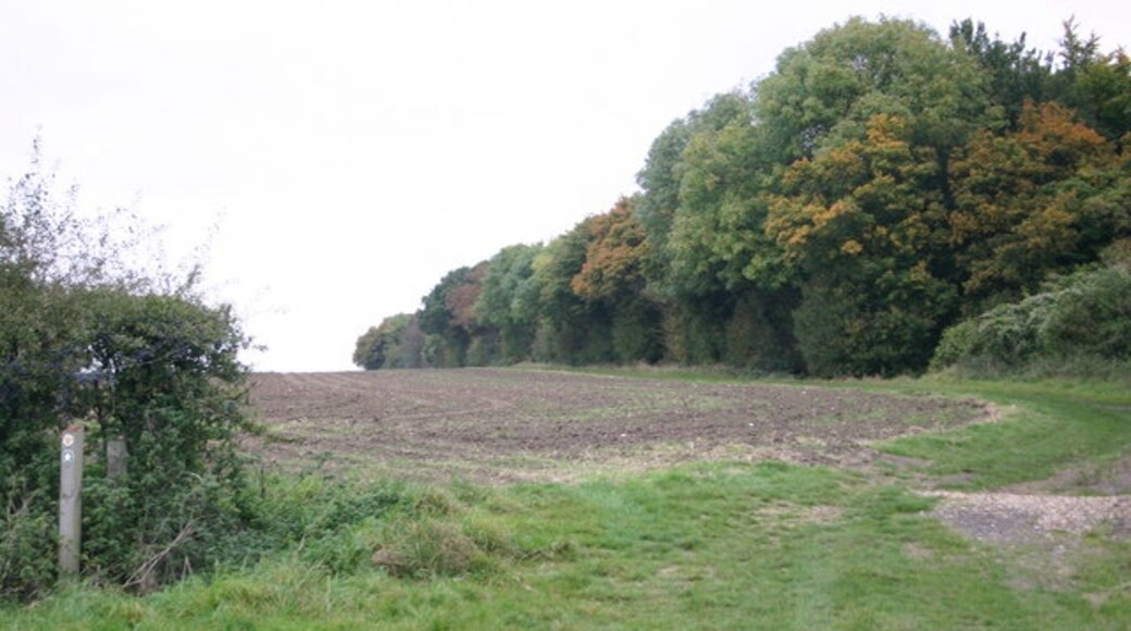 "Anstey"-foto av Shaun Ferguson (CC BY-SA) / Urklipp från original