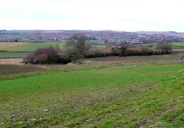 View North from Sherborne Hill View across the northwestern corner of the square from close to the Macmillan Way. In the distance is the town of Sherborne.