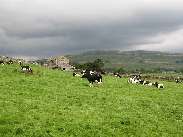 Billede "Low Abbotside" af Gordon Hatton (CC BY-SA) / beskåret fra det originale billede