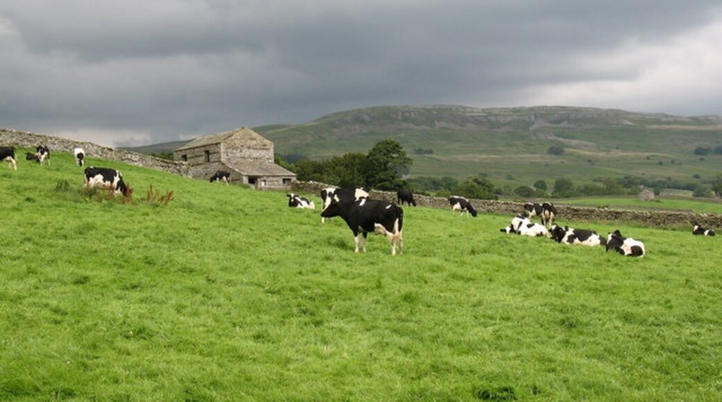 Billede "Low Abbotside" af Gordon Hatton (CC BY-SA) / beskåret fra det originale billede