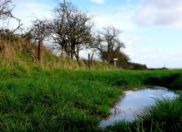 Foto "Compton Valence" por Nigel Mykura (CC BY-SA) / Recortada de la original