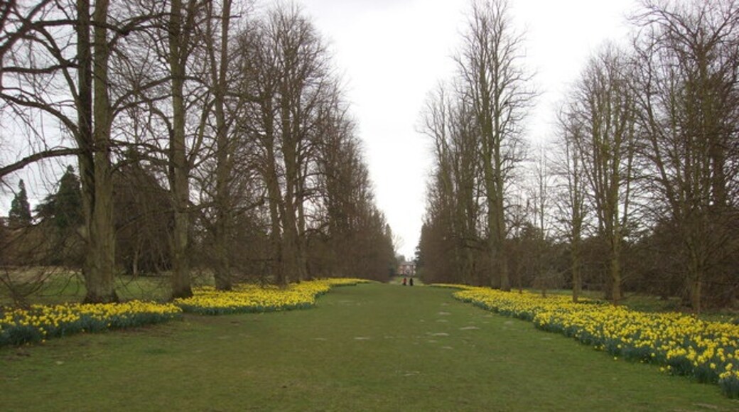 « Parc de Nowton», photo de Oxyman (CC BY-SA) / rognée de l’originale