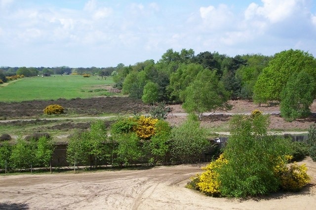 Rendlesham Forest rifle butts The view from the butts shows the target hoist area and adjacent heathland.