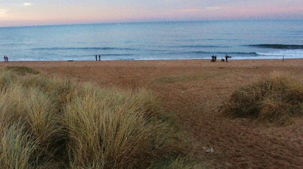 Photo "Seaton Sluice Beach" by Christine Westerback (CC BY-SA) / Cropped from original