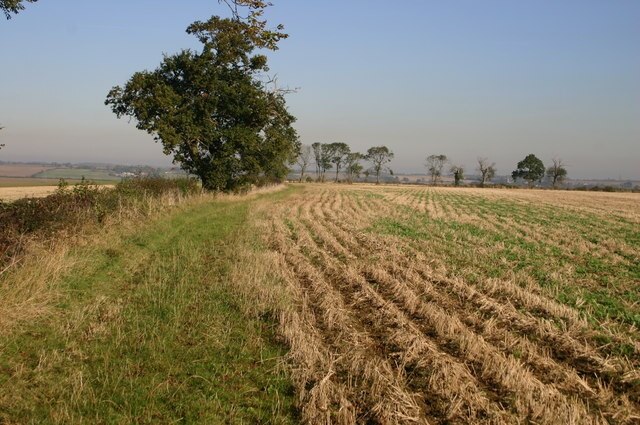 Foto “Catworth” tomada por Shaun Ferguson (CC BY-SA); recorte de la original