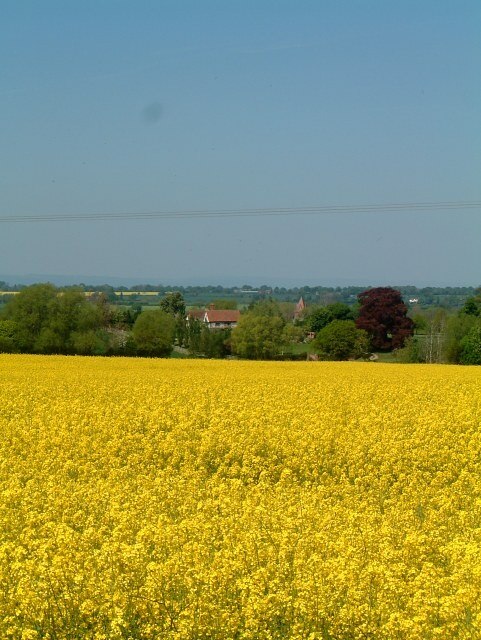 Photo "Pontesbury" by Andrew Bennett (CC BY-SA) / Cropped from original