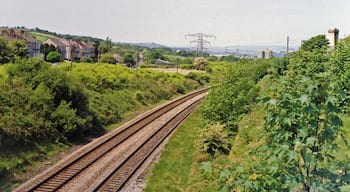 Site of Cockett station. View westward, towards Llanelli, Carmarthen etc.: ex-Great Western South Wales main line. The station, which had been mainly behind me on the east side of the bridge, was closed to passengers on 15/6/64, to goods 13/9/65.