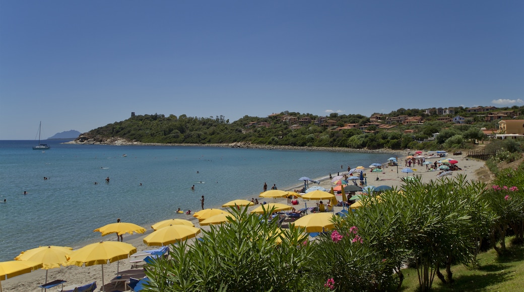 Foto ‘Spiaggia di Porto Frailis’ van trolvag (CC BY-SA) / bijgesneden versie van origineel