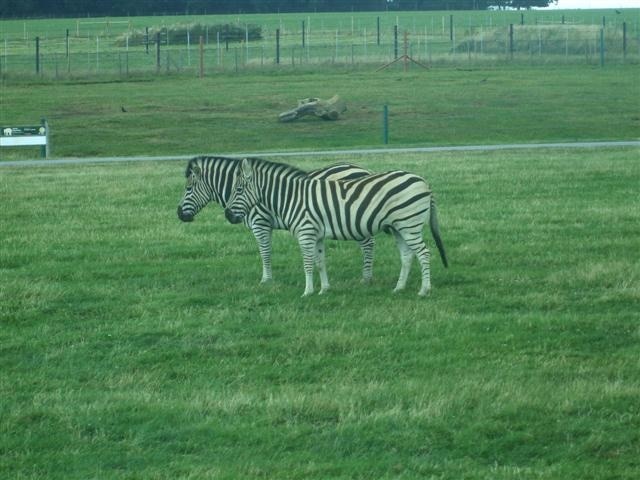 Photo "Husborne Crawley" by Kenneth Allen (CC BY-SA) / Cropped from original