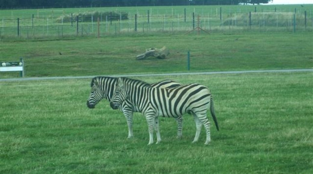 Photo "Husborne Crawley" by Kenneth Allen (CC BY-SA) / Cropped from original