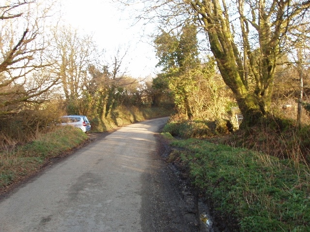 Road at Otterham Mill Typical Cornish lane with earth banks topped by hedges.