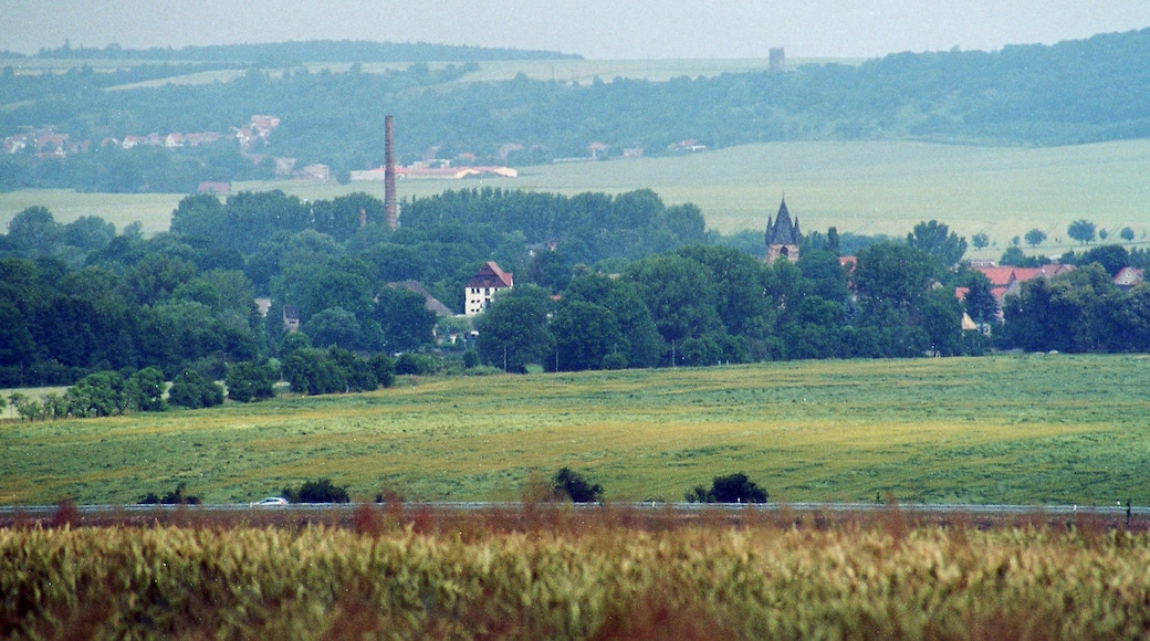 Foto "Lutherstadt Eisleben" por Dguendel (page does not exist) (CC BY) / Recortada de la original