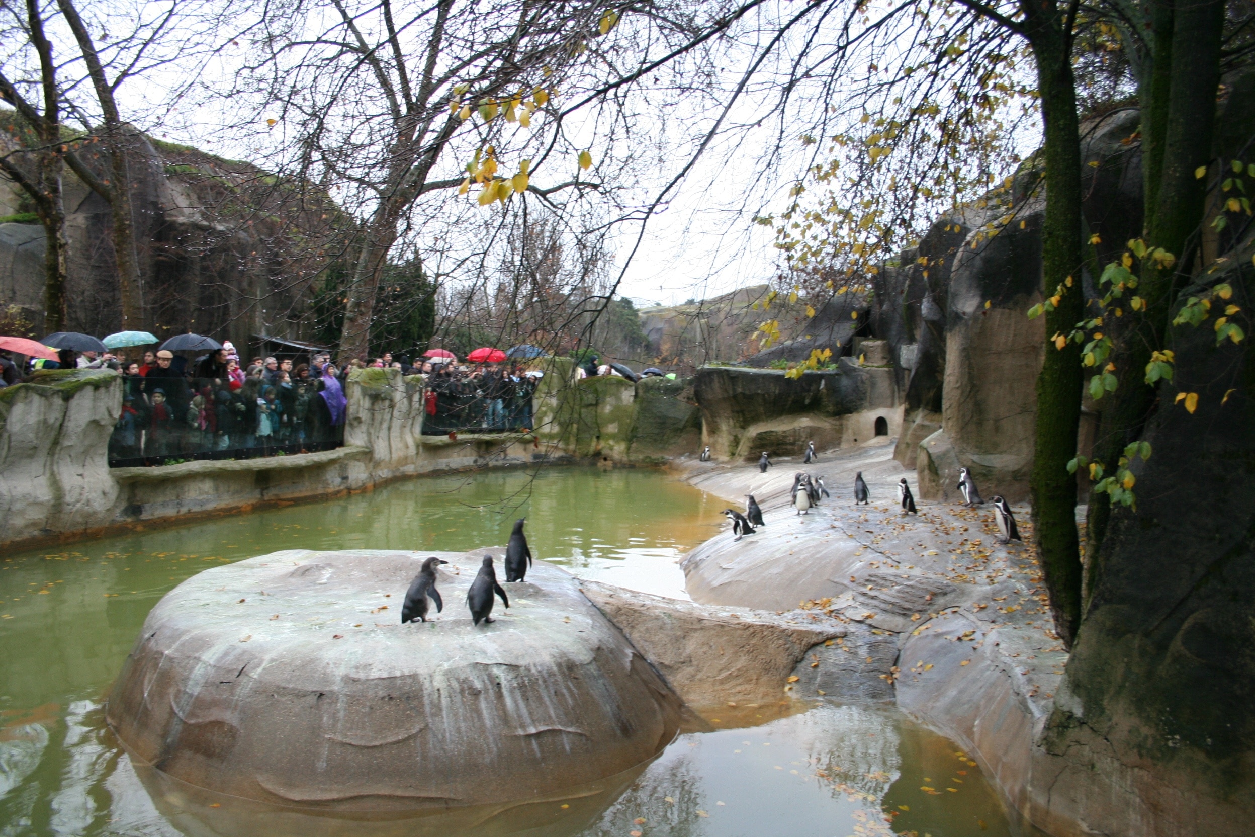 Parc Zoologique de Paris - Destination Vincennes