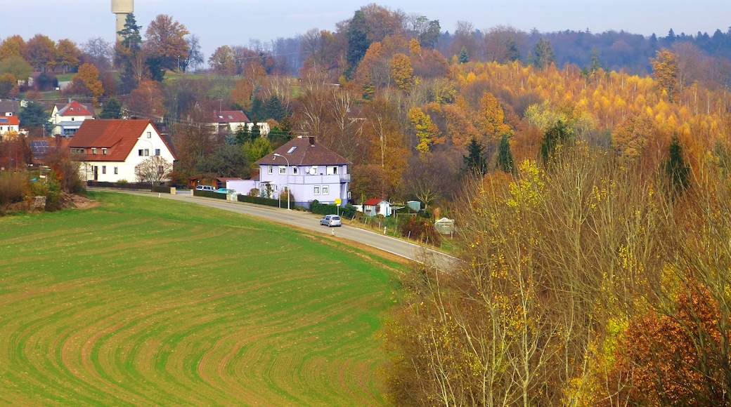 Foto “Waldrennach” feta per Dg-505 (CC BY). Retallada de l’original.