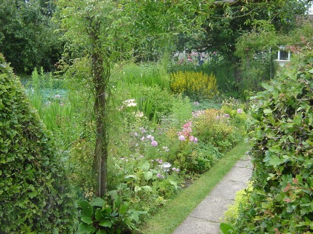 Photo "Luttons" by martin dawes (CC BY-SA) / Cropped from original