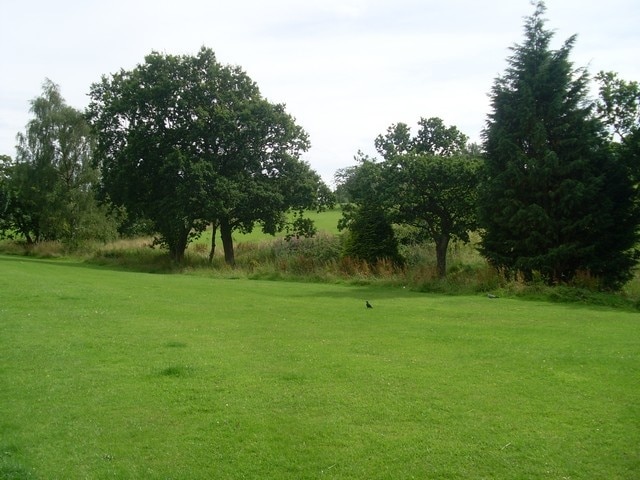 Trees surrounding Broom Burn Seen from Dunure Place.