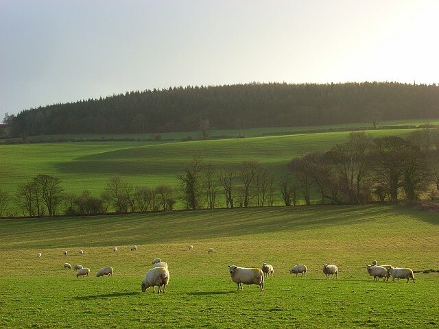 "Newnham"-foto av Andrew Smith (CC BY-SA) / Urklipp från original