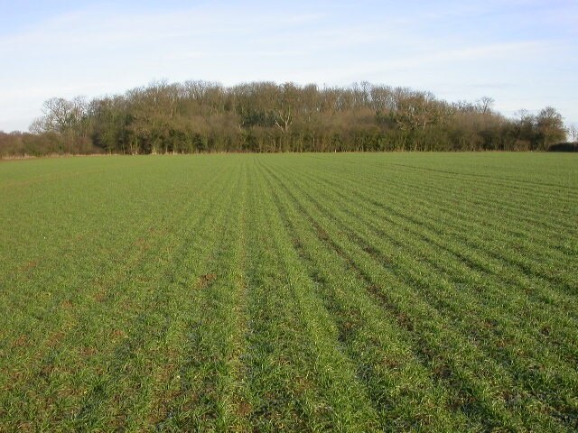 Foto “Lowick” tomada por Kokai (CC BY-SA); recorte de la original