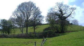 Fields, near Henllys