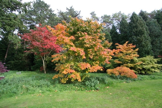 Photo "Snape with Thorp" by Andy Waddington (CC BY-SA) / Cropped from original