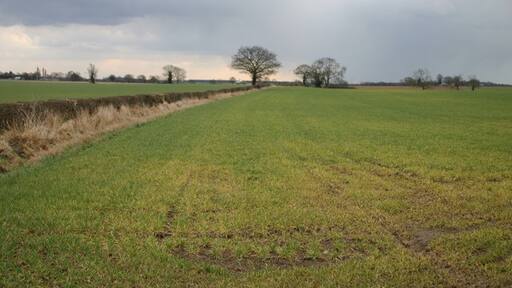 Foto „Hutton-Sessay“ von Bob Jenkins (CC BY-SA)/zugeschnittenes Original