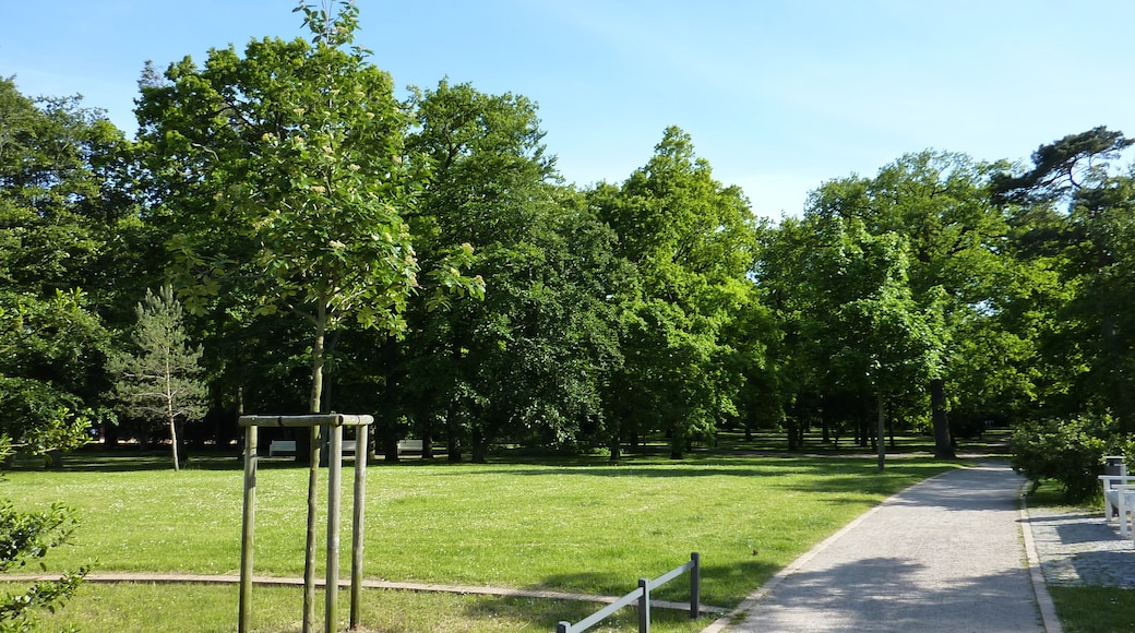 « Parc Kurpark Warnemünde», photo de Timur Y (CC BY) / rognée de l’originale
