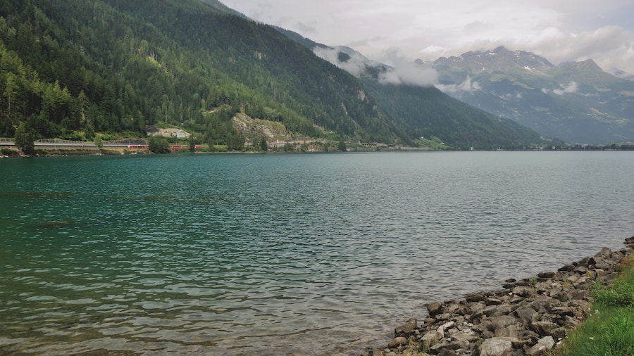 Photo "Switzerland, Graubünden, impressions along Lago di Poschiavo" by Simisa (Creative Commons Attribution-Share Alike 3.0) / Cropped from original