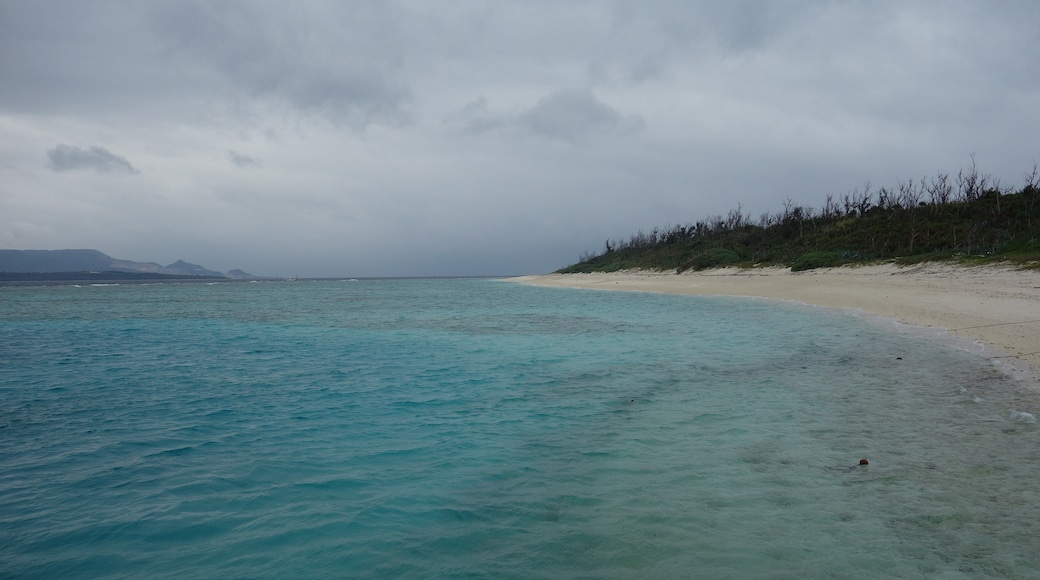 Foto "Isla Minna-Jima" por 690 Noda (CC BY) / Recortada de la original
