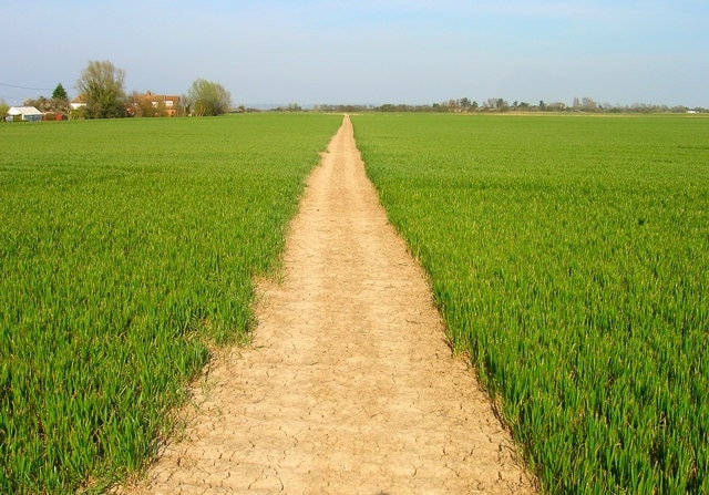 Footpath to Appledore Station Ensuring that for at least a mile you are able to avoid oncoming traffic on the B2080 between the village and the station.