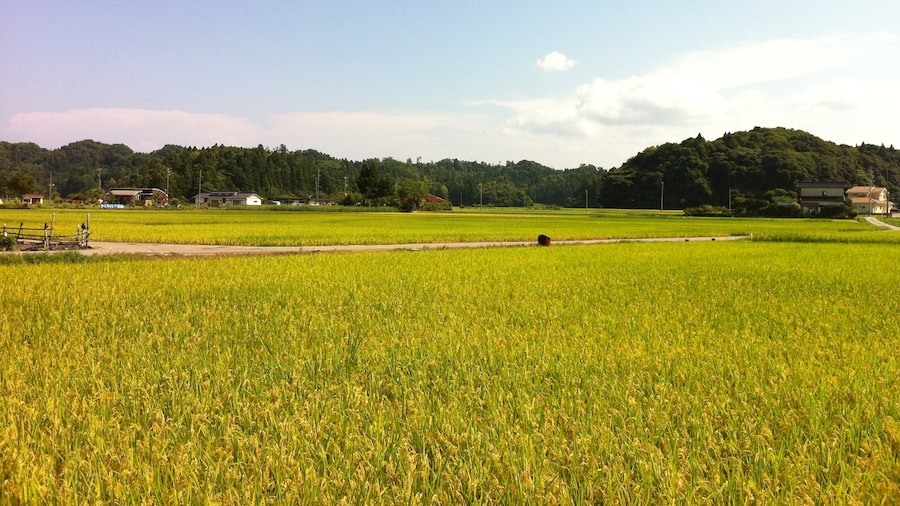 Photo "能登島の風景(Scenery of Notojima)" by comachiangel (Creative Commons Attribution 3.0) / Cropped from original