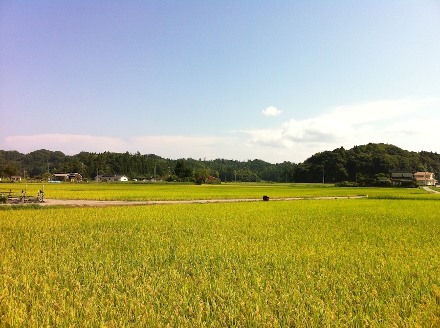 能登島の風景(Scenery of Notojima)
